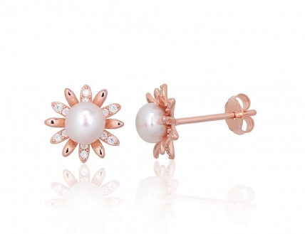 Silver stud earrings. Photo Nr. 1