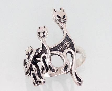 Silver ring. Photo Nr. 1