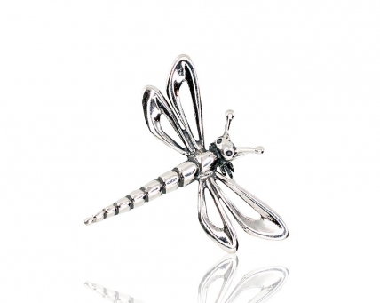 Silver brooch. Photo Nr. 1