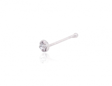 Piercing. Photo Nr. 1