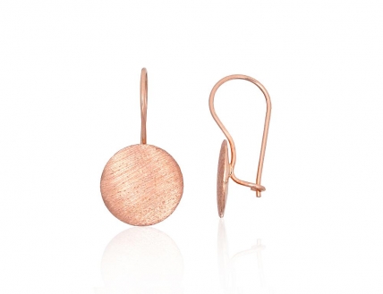 Gold hook earrings. Photo Nr. 1