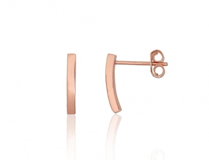 Silver stud earrings. Photo Nr. 1