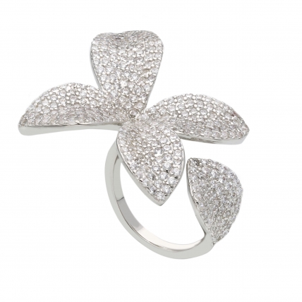 Silver Ring 