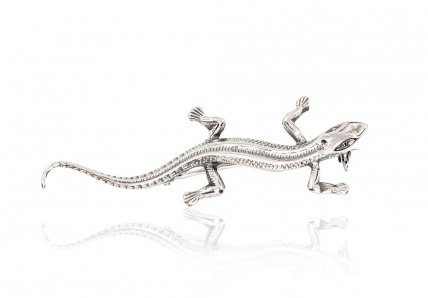 Silver brooch. Photo Nr. 1
