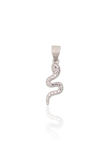 Silver pendant. Photo Nr. 1