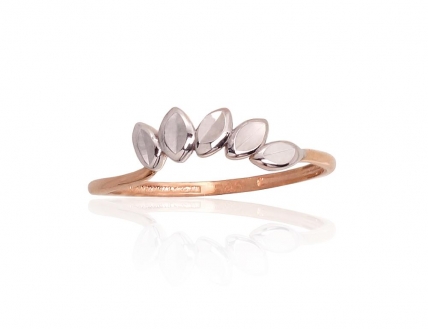 Gold ring. Photo Nr. 1