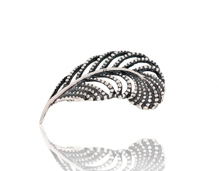 Silver brooch. Photo Nr. 1
